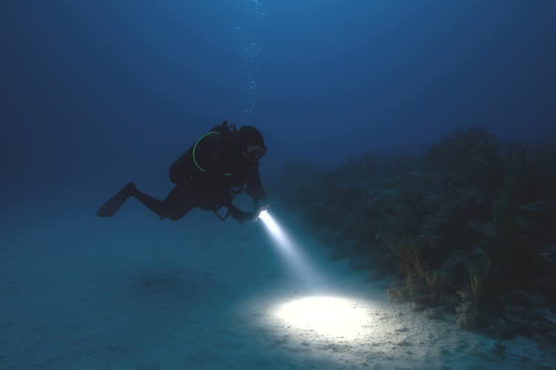 Finding Light After Dark